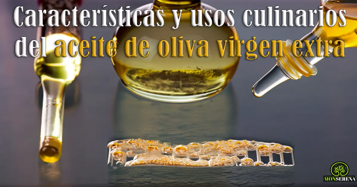 Caracteristicas y usos culinarios del aceite de oliva virgen extra