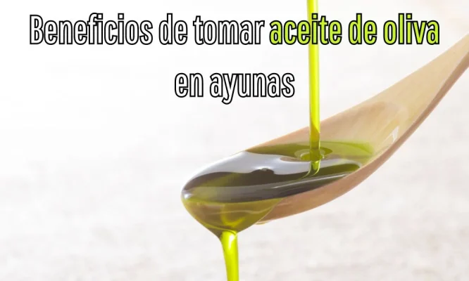 Beneficios de tomar aceite de oliva en ayunas