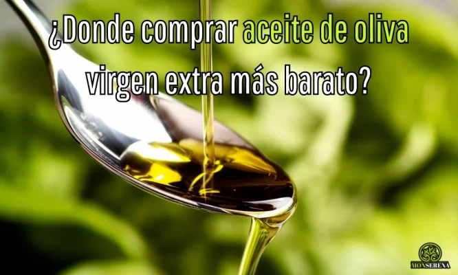 ¿Donde comprar aceite de oliva virgen extra más barato?