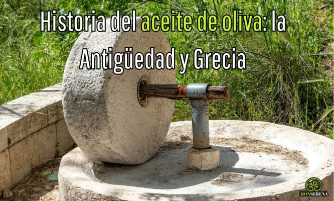 Historia del aceite de oliva: desde tiempos antiguos hasta la época de los antiguos griegos
