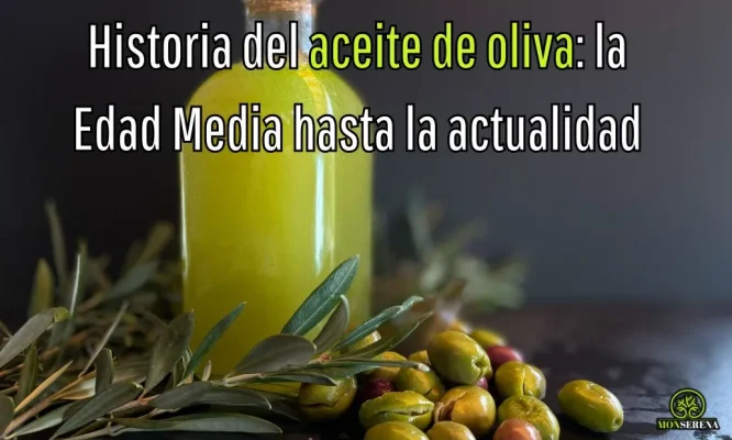 Historia del aceite de oliva: edad media y actualidad