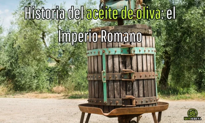 Historia del aceite de oliva (Parte 3): Roma
