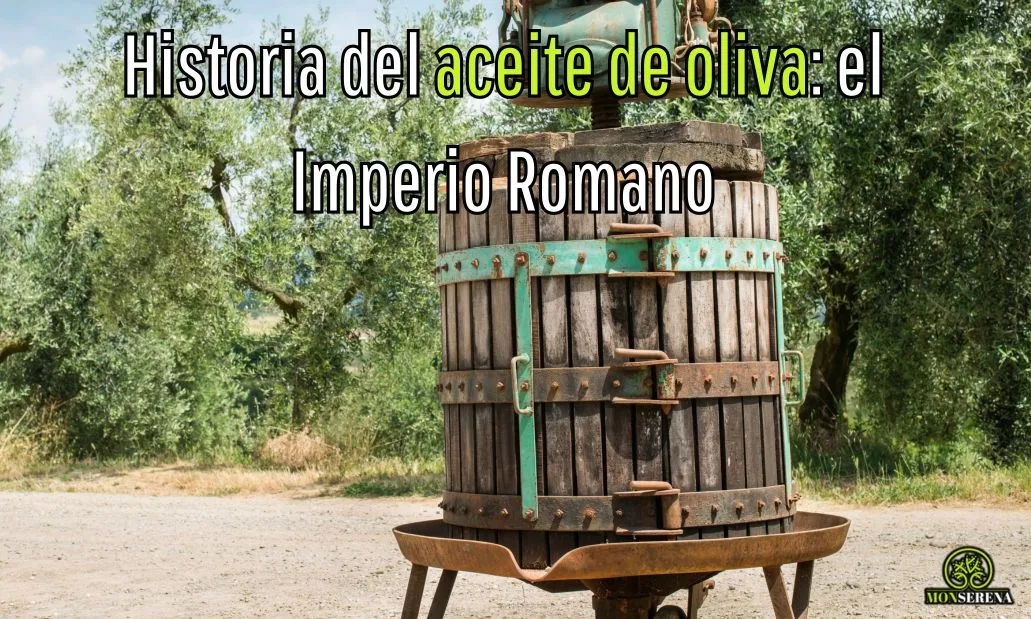 Historia del aceite de oliva (Parte 3): Roma