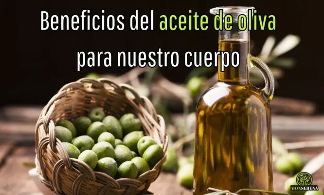 Beneficios del aceite de oliva para nuestro cuerpo