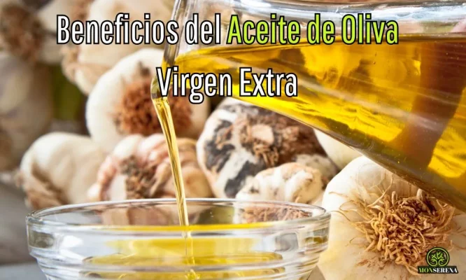Beneficios del aceite de oliva virgen extra