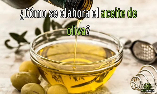 ¿Cómo se elabora el aceite de oliva?