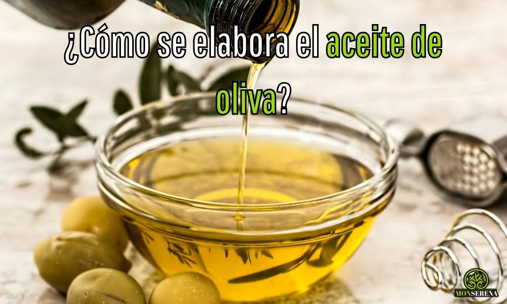 ¿Cómo se elabora el aceite de oliva?