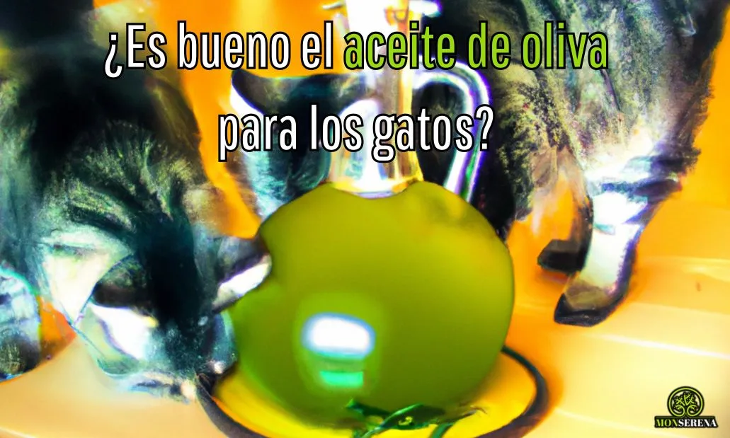 ¿Es bueno el aceite de oliva para los gatos?