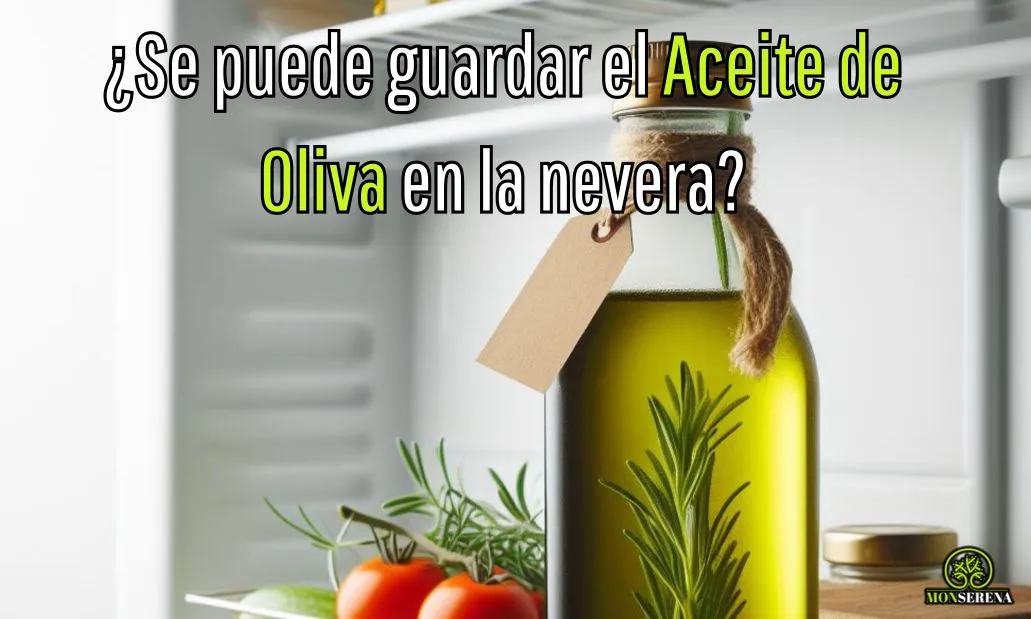 Se puede guardar el aceite de oliva en la nevera
