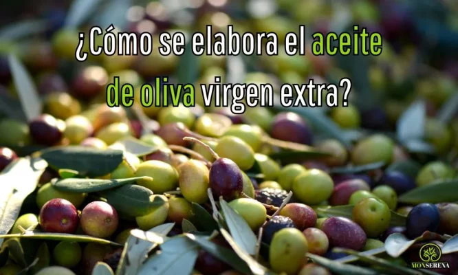 ¿Cómo se elabora el aceite de oliva virgen extra?