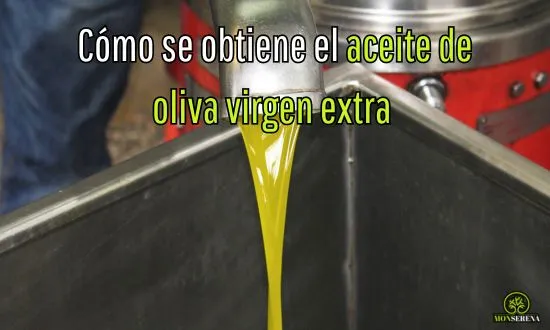 Cómo se obtiene el aceite de oliva virgen extra