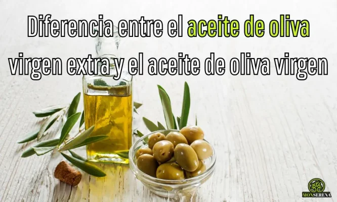 cuál es la diferencia entre el aceite de oliva virgen extra y el aceite de oliva virgen