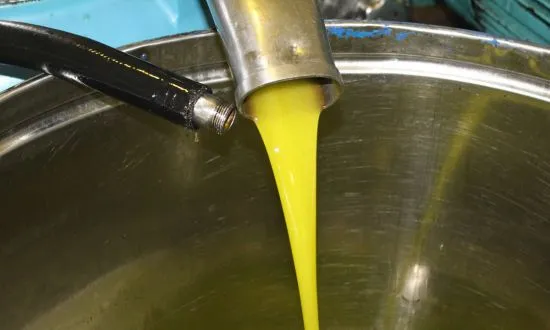 elaboracion aceite de oliva