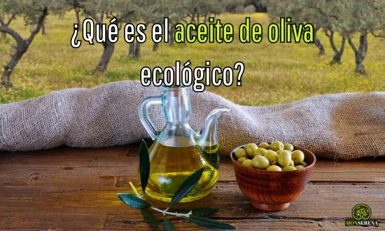 Que es el aceite de oliva ecológico