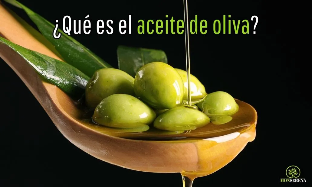 ¿Qué es el aceite de oliva?