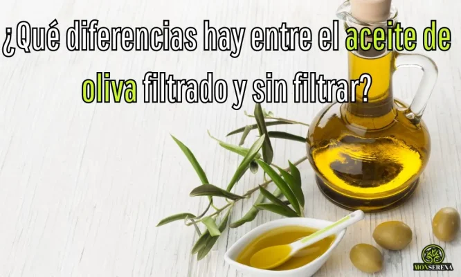 ¿Qué diferencias hay entre el aceite de oliva filtrado y sin filtrar?