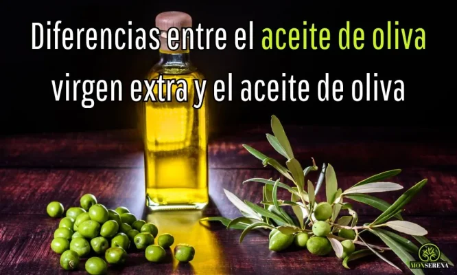 diferencias aceite oliva virgen extra y normal