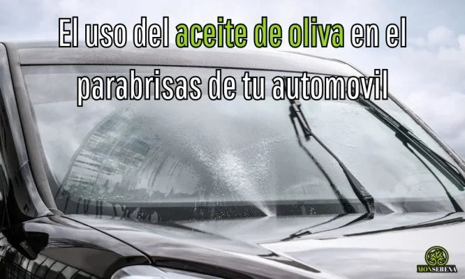 El uso del aceite de oliva en el parabrisas de tu automovil