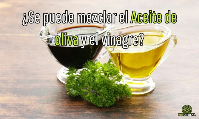 ¿Se puede mezclar el Aceite de oliva y el vinagre?