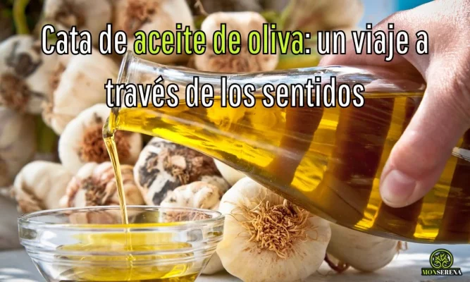 cata de aceite de oliva