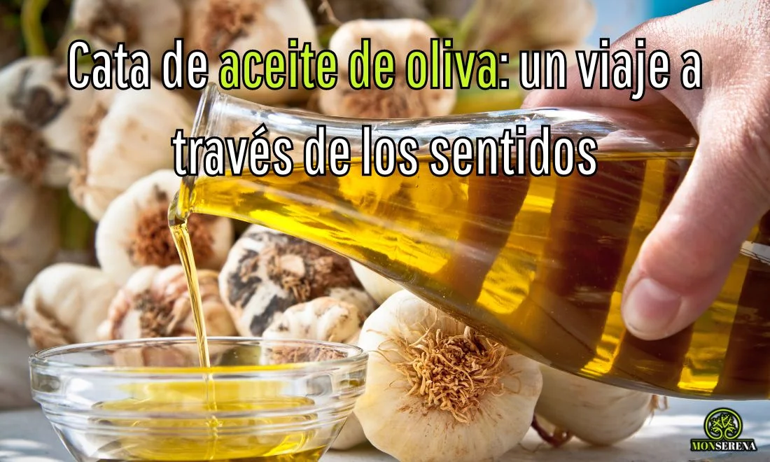 cata de aceite de oliva