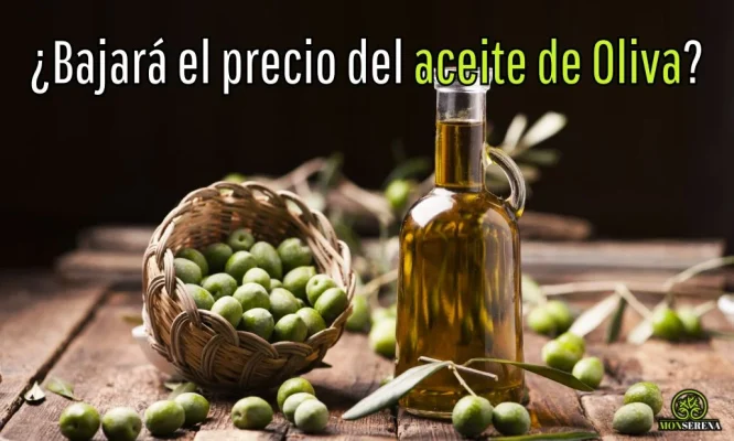 ¿Bajará el precio del aceite de Oliva?
