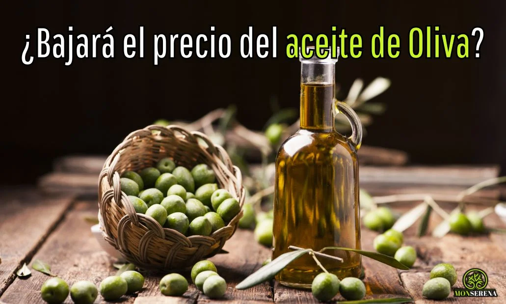 ¿Bajará el precio del aceite de Oliva?