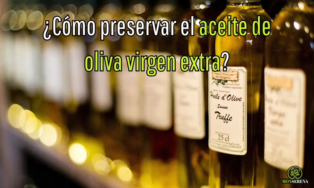 ¿Cómo preservar el aceite de oliva virgen extra