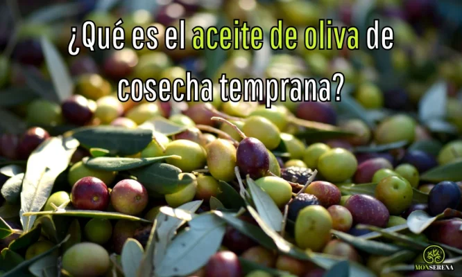¿Qué es el Aceite de cosecha temprana?