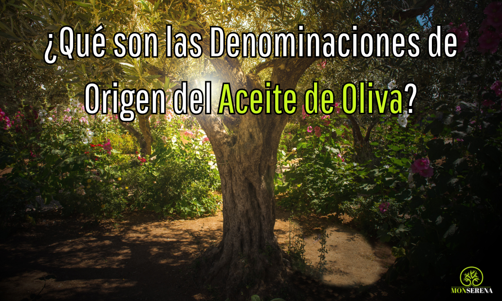 ¿Qué son las Denominaciones de Origen del Aceite de Oliva?