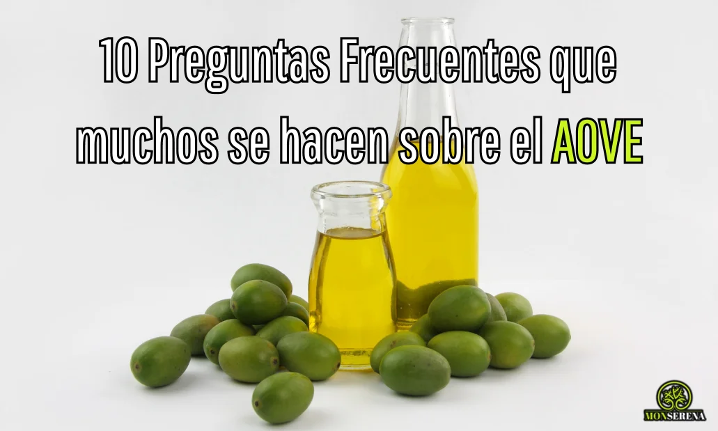 10 Preguntas Frecuentes que muchos se hacen sobre el AOVE