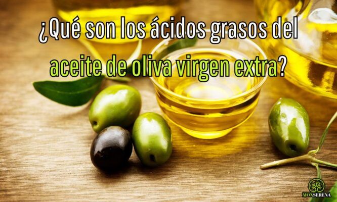Qué son los ácidos grasos del aceite de oliva virgen extra