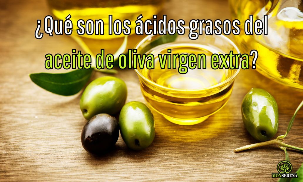Qué son los ácidos grasos del aceite de oliva virgen extra