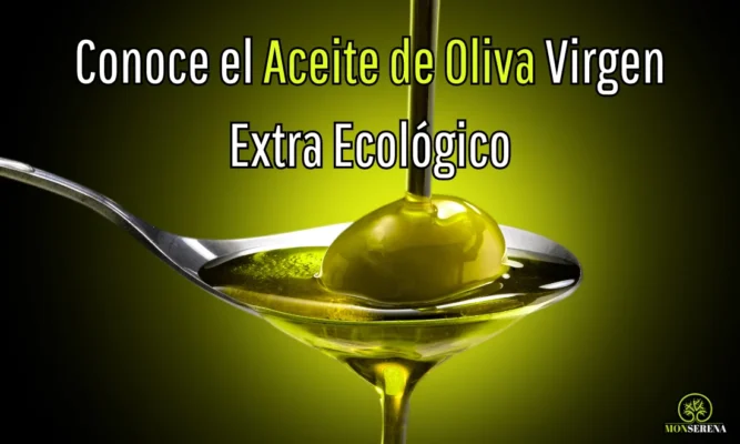 Conoce el Aceite de Oliva Virgen Extra Ecológico