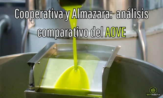Cooperativa y Almazara Un análisis comparativo en el mundo del aceite de oliva