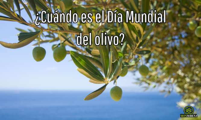 ¿Cuándo es el Día Mundial del olivo