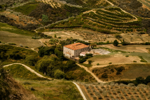 baja el precio del aceite de oliva