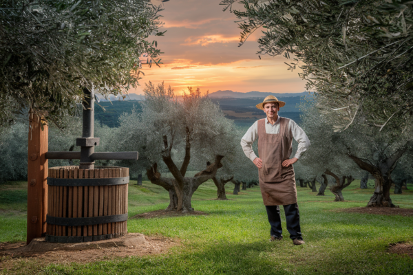 denominaciones de origen del aceite de oliva