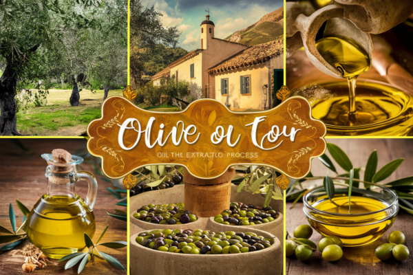 fiesta del aceite de oliva